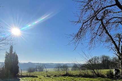 Grundstück Much - 299.000&euro; | Angebot:19142778