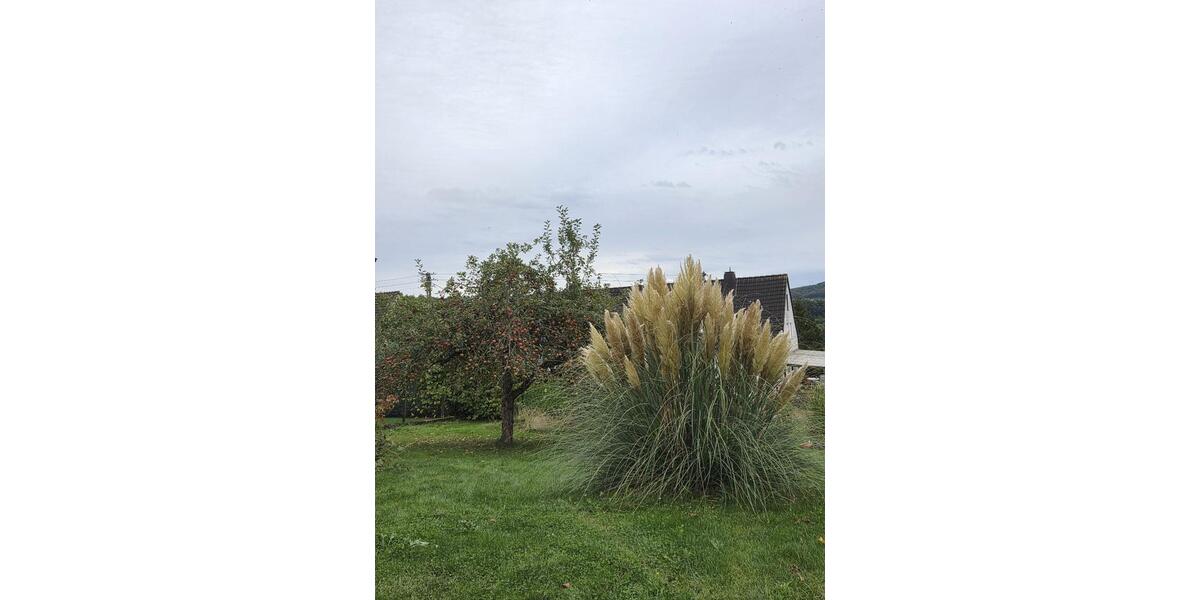 Einfamilienhaus Wissen - 5 Zimmer, 140 m&sup2;, 280.000&euro; | Angebot:25451483