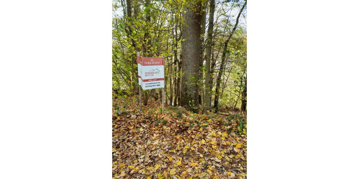 Grundstück Reichshof - 125.000&euro; | Angebot:23506863