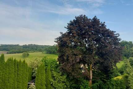 Grundstück Reichshof - 79.990&euro; | Angebot:24719210