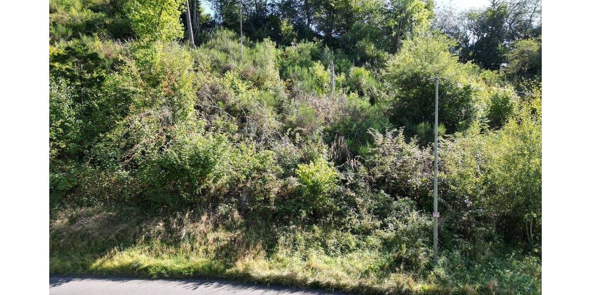 Grundstück Bergneustadt Wiedenest - 69.000&euro; | Angebot:25666269