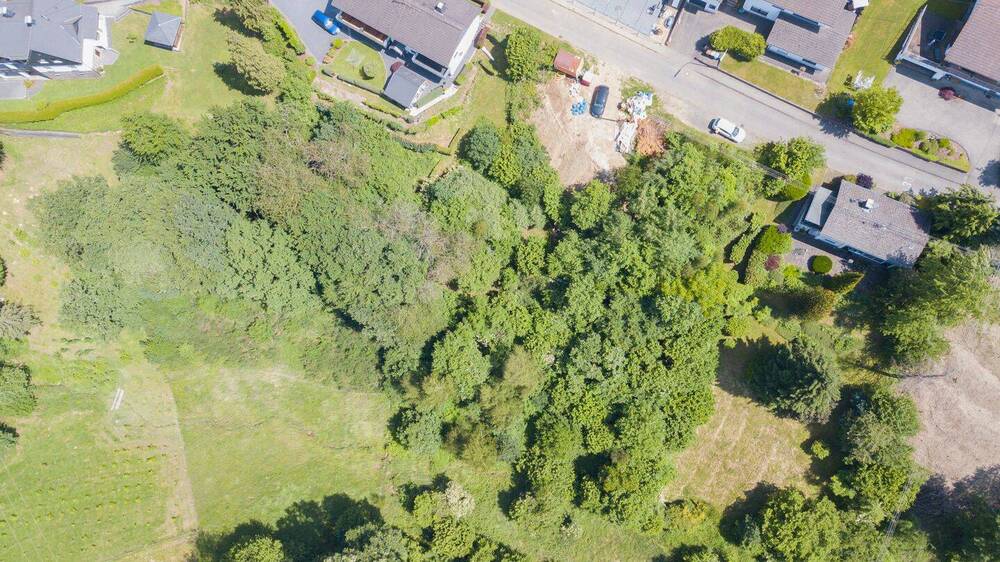 Grundstück Wissen - 38.000&euro; | Angebot:25800771