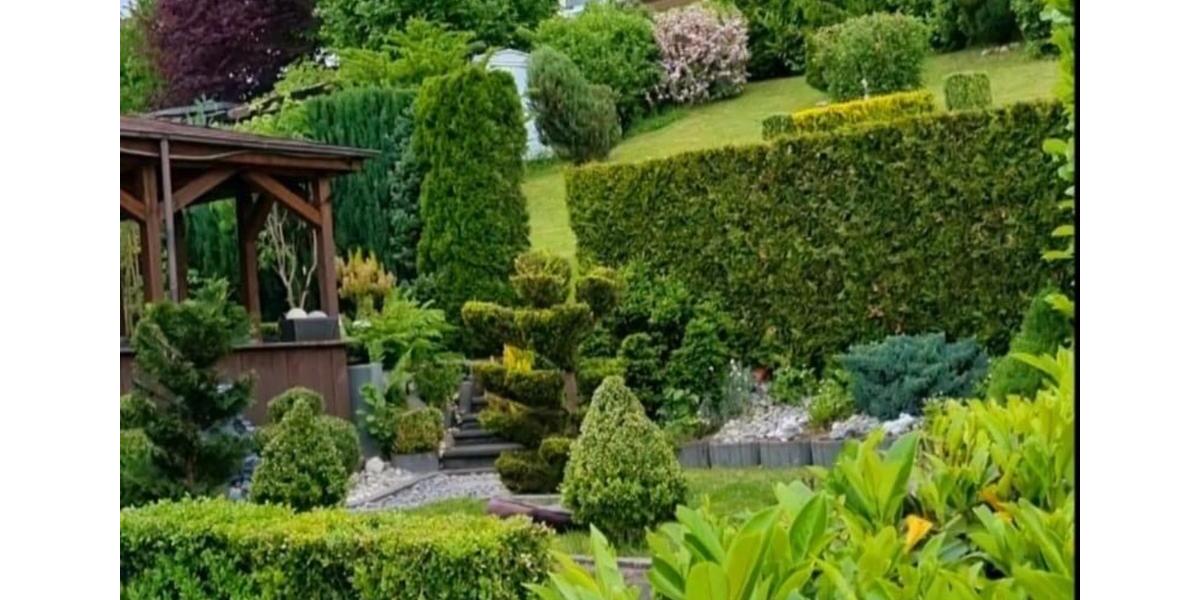 Einfamilienhaus Olpe - 450.000&euro; | Angebot:24870481