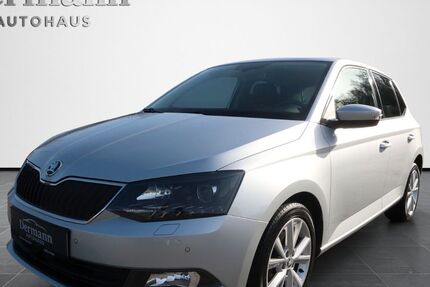Skoda Fabia 109.959 km 13.090 &euro; Wiehl 51674