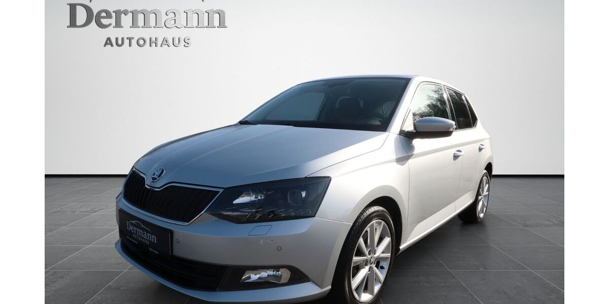 Skoda Fabia 109.959 km 13.090 &euro; Wiehl 51674