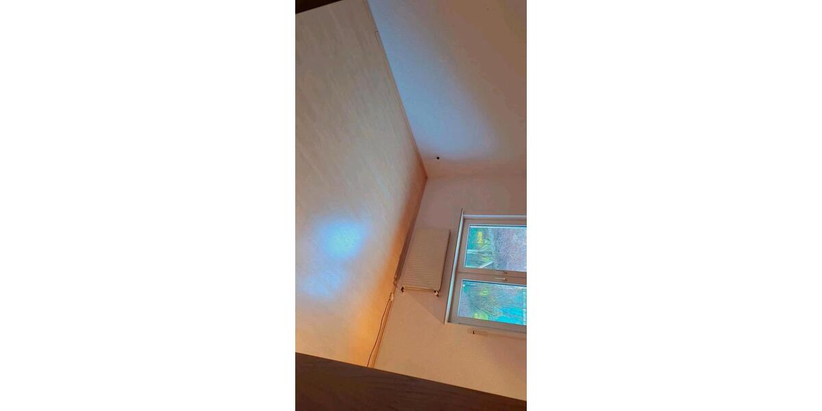 Erdgeschoßwohnung Windeck - 2 Zimmer, 65 m&sup2;, 650&euro; | Angebot:25960271