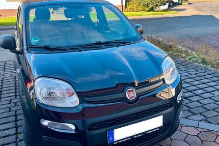Fiat Panda 60.890 km 7.990 &euro; Windeck 51570