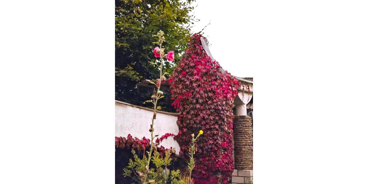 Einfamilienhaus Morsbach - 7 Zimmer, 206 m&sup2;, 348.000&euro; | Angebot:26024430