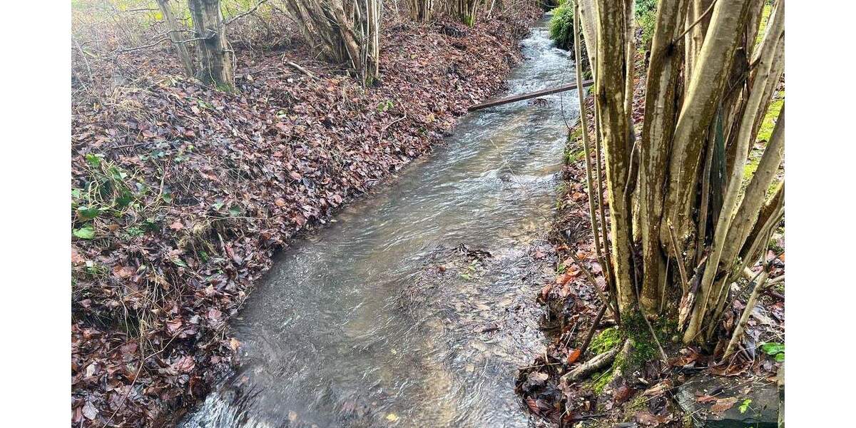 Mehrfamilienhaus, Wohnhaus Nümbrecht Heddinghausen - 1 Zimmer, 338 m&sup2;, 730.000&euro; | Angebot:25776407