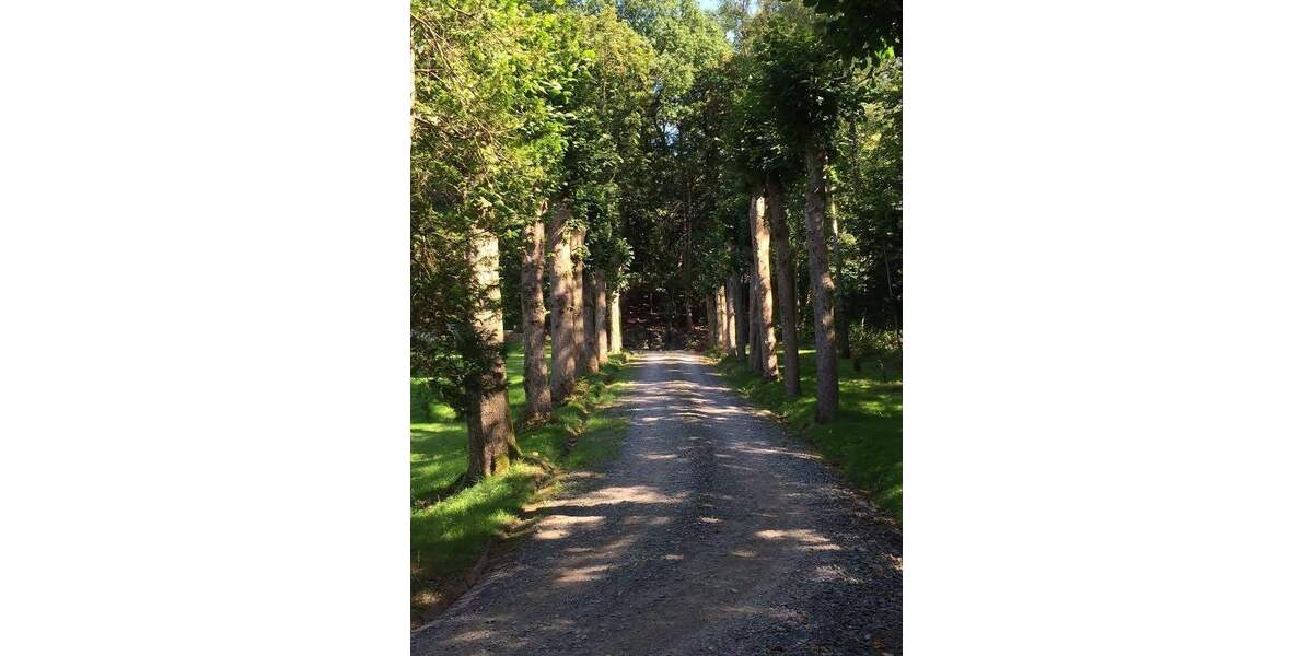 Wohnen im Park - sehr schöne Wohnung - Etagenwohnung Kierspe Grünenbaum | Angebot:25476183