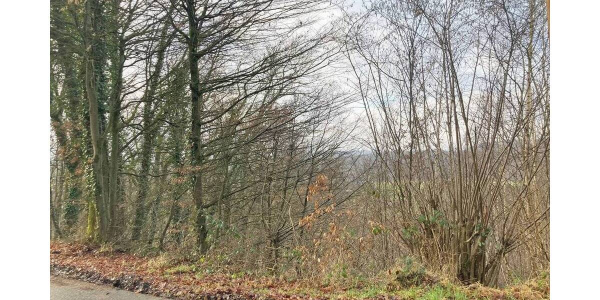 Grundstück Windeck Opperzau - 32.500&euro; | Angebot:25691787