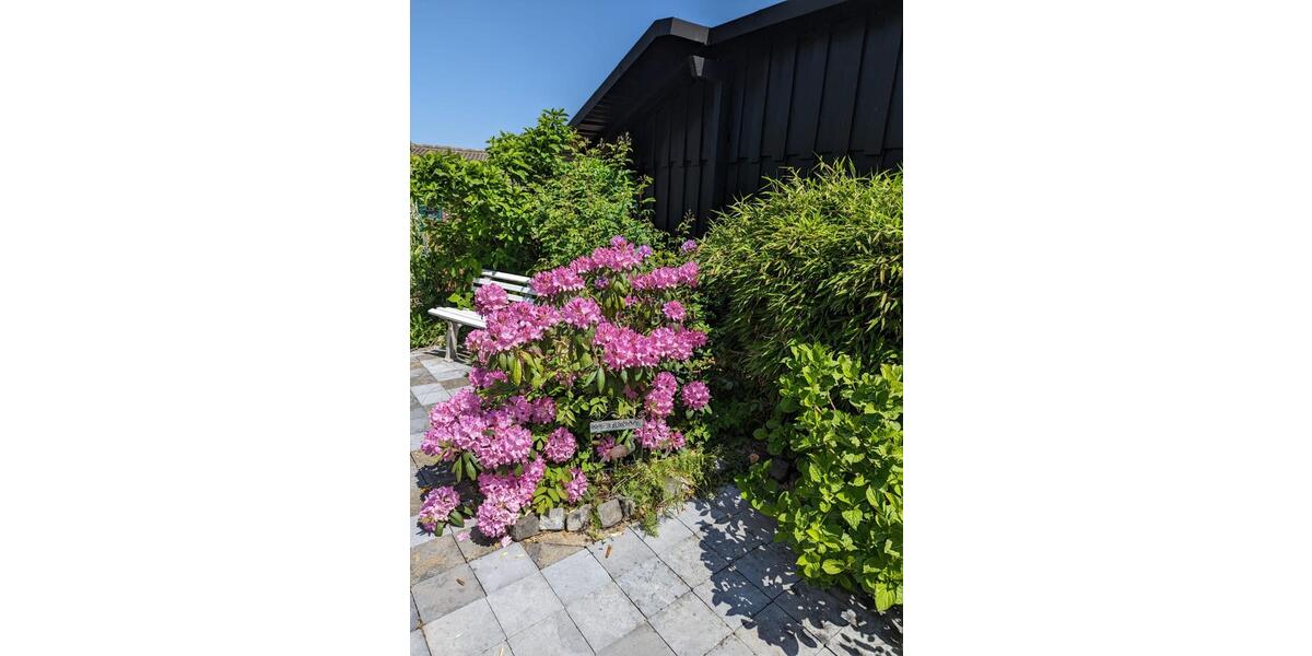 Einfamilienhaus Gummersbach Hepel - 2 Zimmer, 40 m&sup2;, 41.000&euro; | Angebot:26534585