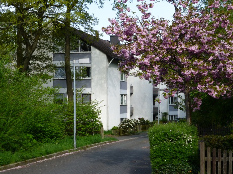 4 Zimmer, Küche, Bad, Gäste-WC, 2x Balkon SW. EGre - 4- Lüdenscheid Brügge | Angebot:27142339