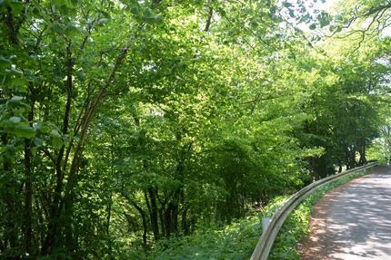 Grundstück Reichshof - 33.333&euro; | Angebot:25764344