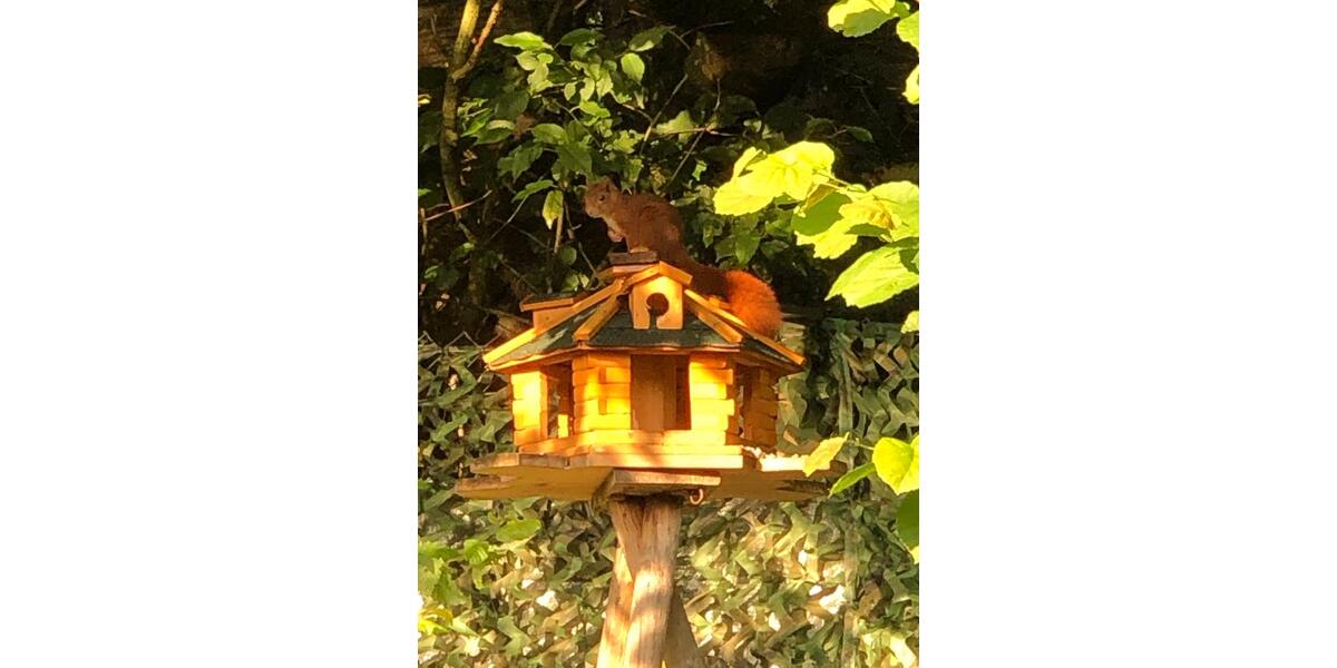Einfamilienhaus Radevormwald - 2 Zimmer, 38 m&sup2;, 74.990&euro; | Angebot:27189547