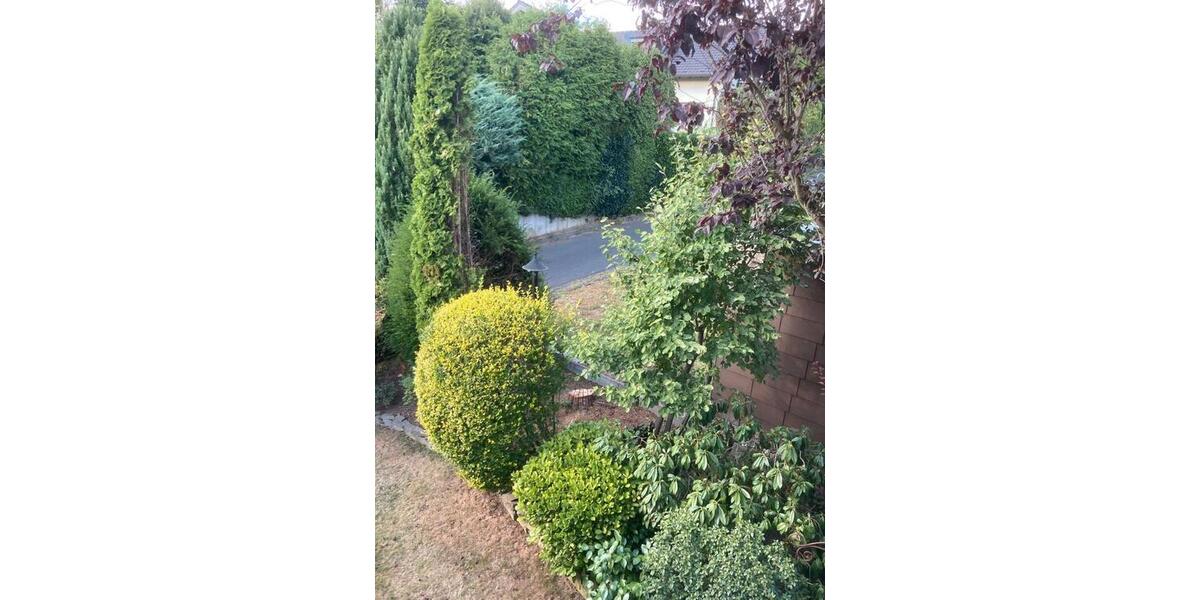 Einfamilienhaus Neunkirchen-Seelscheid Seelscheid - 19 Zimmer, 295 m&sup2;, 799.000&euro; | Angebot:26049514