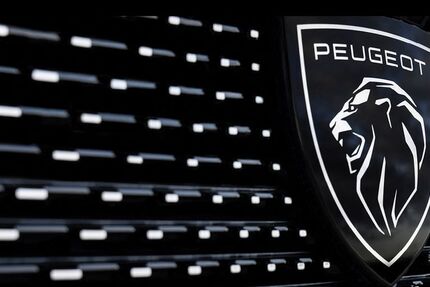 Peugeot 2008 13.500 km 19.500 &euro; Niederfischbach 57572