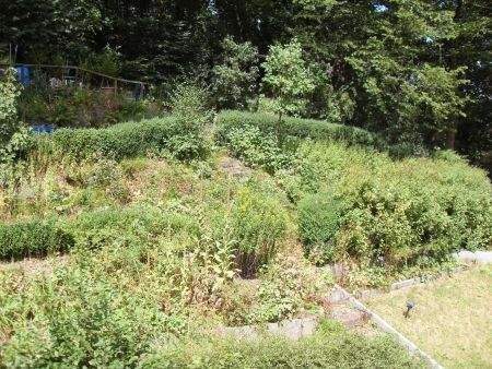 Etagenwohnung Lüdenscheid Brügge - 2 Zimmer, 55 m&sup2;, 390&euro; | Angebot:25697113