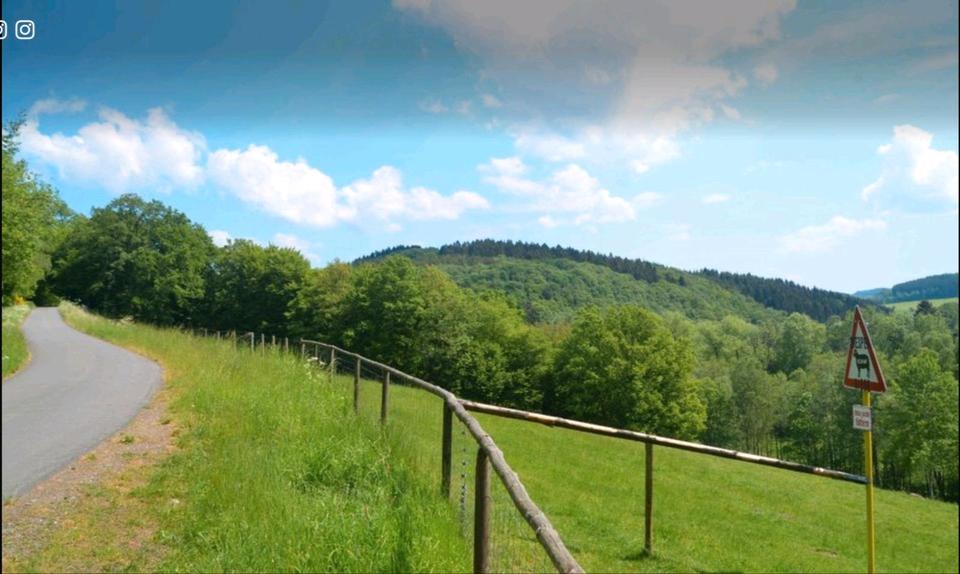 Erdgeschoßwohnung Reichshof - 2 Zimmer, 62 m&sup2;, 680&euro; | Angebot:26026047