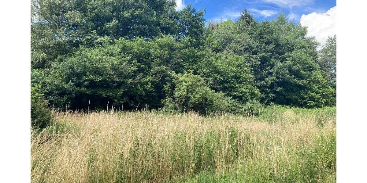 Grundstück Windeck Rosbach - 149.000&euro; | Angebot:25691786