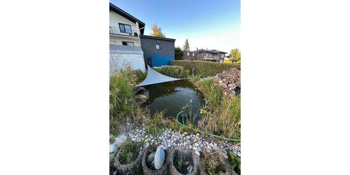 Mehrfamilienhaus, Wohnhaus Much - 8 Zimmer, 255 m&sup2;, 699.000&euro; | Angebot:25080557