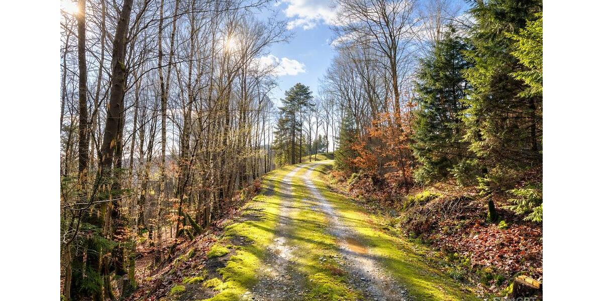 Einfamilienhaus Eitorf - 4 Zimmer, 102 m&sup2;, 229.000&euro; | Angebot:26059927