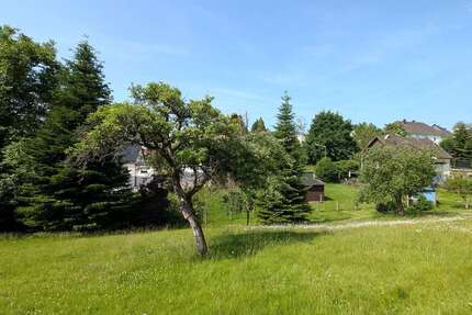 Grundstück Windeck / Gierzhagen Gierzhagen - 71.000&euro; | Angebot:19869484