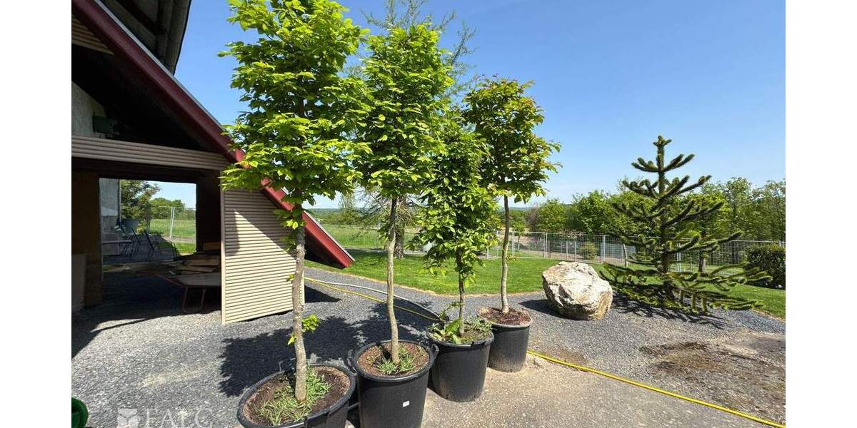 Bauernhaus, Landhaus Windeck Sommerhof - 5 Zimmer, 206 m&sup2;, 799.000&euro; | Angebot:25739545