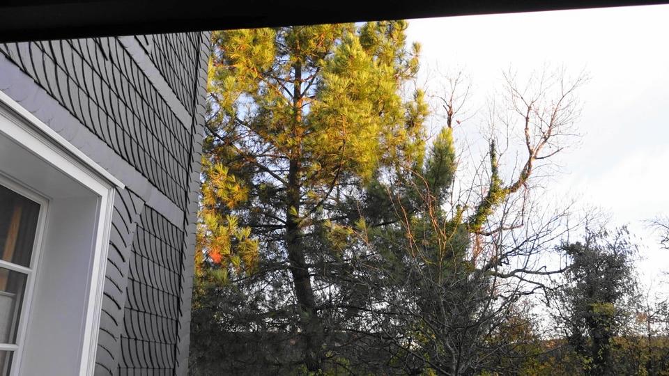 Doppelhaushälfte Nümbrecht - 7 Zimmer, 122 m&sup2;, 269.000&euro; | Angebot:23748778