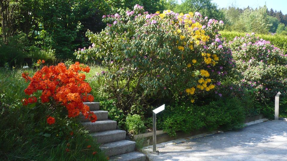 Einfamilienhaus Reichshof - 6 Zimmer, 263 m&sup2;, 549.000&euro; | Angebot:9944238