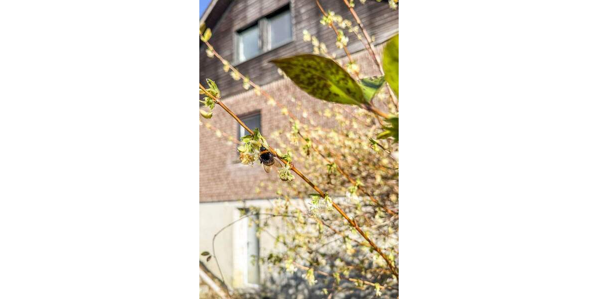 Einfamilienhaus Kürten - 5 Zimmer, 128 m&sup2;, 455.000&euro; | Angebot:25706574