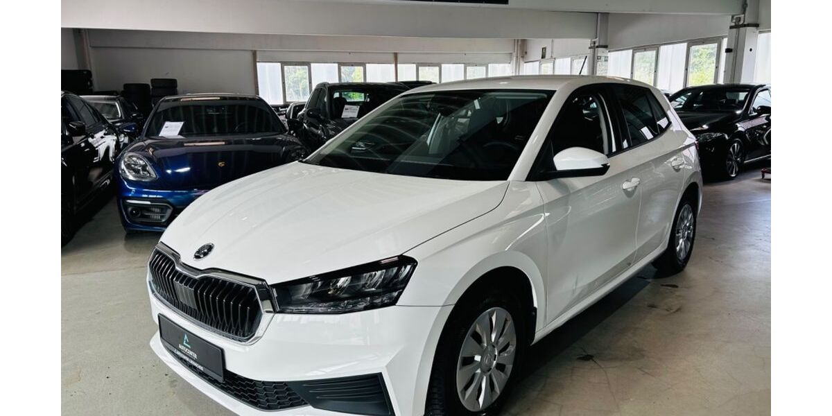 Skoda Fabia 55.000 km 10.990 &euro; Lüdenscheid 58507