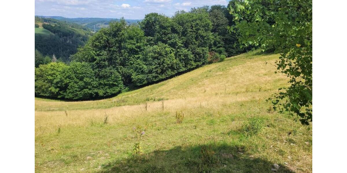 Doppelhaushälfte Herscheid - 249.000&euro; | Angebot:25953335