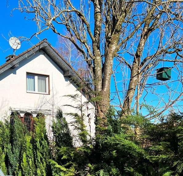 Einfamilienhaus Nümbrecht - 8 Zimmer, 285 m&sup2;, 204.000&euro; | Angebot:25445119