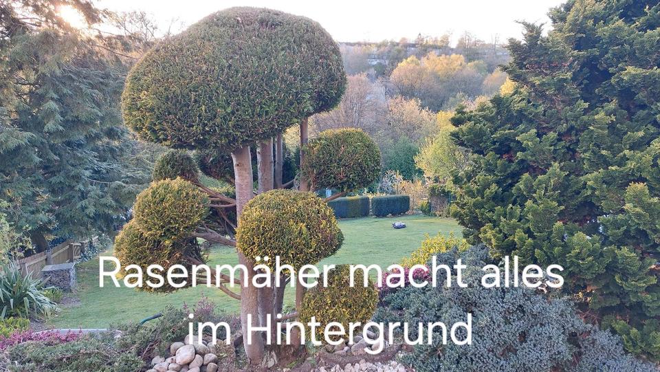Doppelhaushälfte Lüdenscheid Othlinghausen - 249.000&euro; | Angebot:27168554