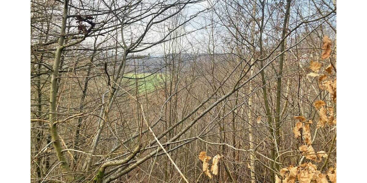 Grundstück Windeck Opperzau - 21.500&euro; | Angebot:25691787