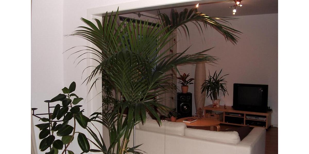 Etagenwohnung Wermelskirchen - 3 Zimmer, 81 m&sup2;, 700&euro; | Angebot:25903116