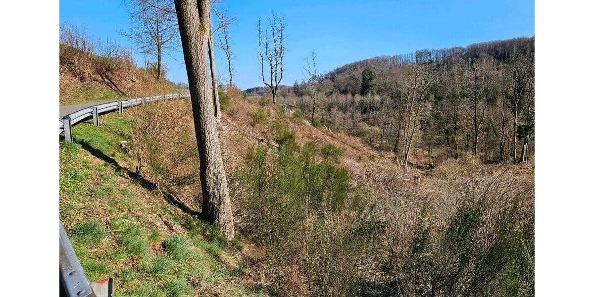 Grundstück Reichshof - 33.333&euro; | Angebot:25764344