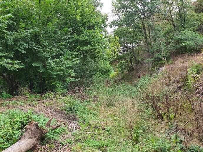 Grundstück Morsbach Morsbach, Sieg - 40.000&euro; | Angebot:25737028