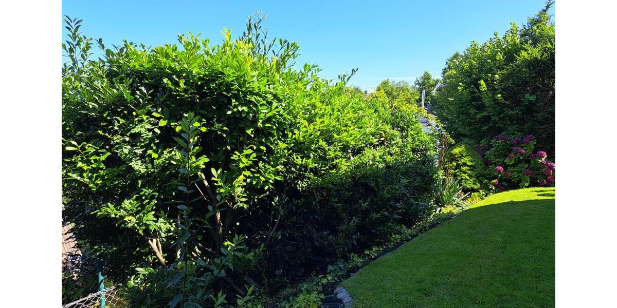 Einfamilienhaus Gummersbach Hepel - 8 Zimmer, 209 m&sup2;, 440.000&euro; | Angebot:25813938