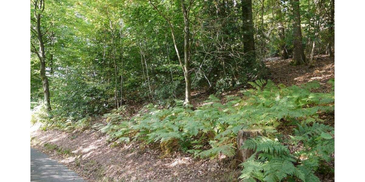 Grundstück Gummersbach - Wasserfuhr Wasserfuhr - 174.000&euro; | Angebot:25814026