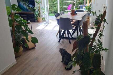 Wohnung Lindlar - 2 Zimmer, 77 m&sup2;, 820&euro; | Angebot:25151908