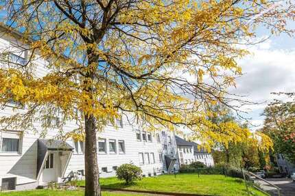 Wohnung Radevormwald - 2 Zimmer, 45 m&sup2;, 423&euro; | Angebot:25866587