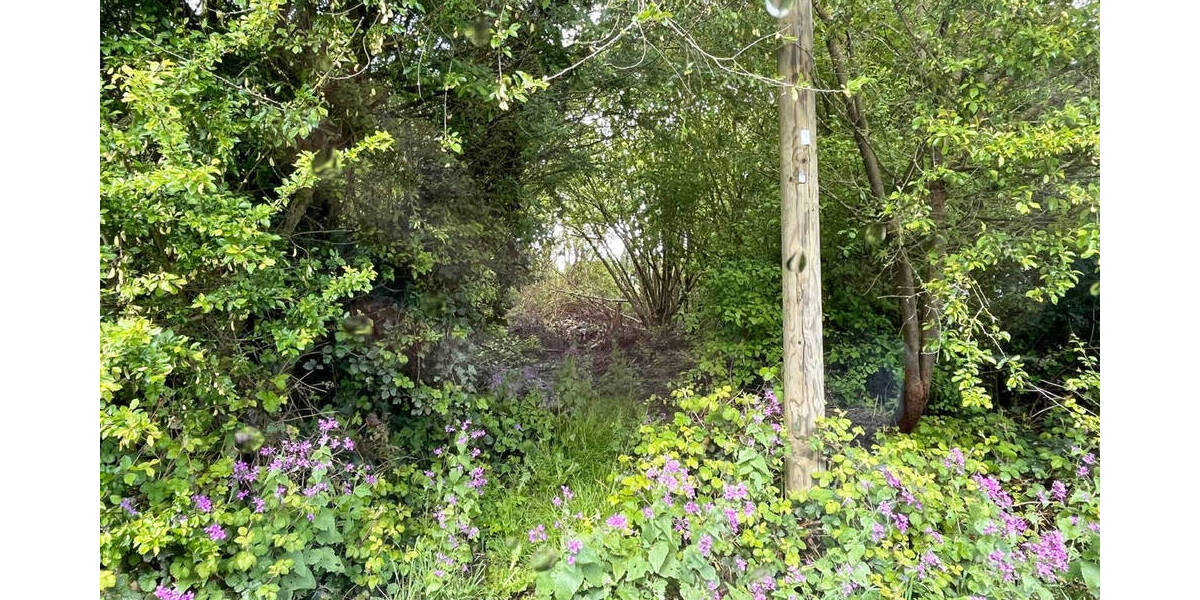 Grundstück Windeck / Hurst Hurst - 65.000&euro; | Angebot:25738113