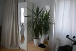 Etagenwohnung Hückeswagen - 2 Zimmer, 54 m&sup2;, 590&euro; | Angebot:26675483
