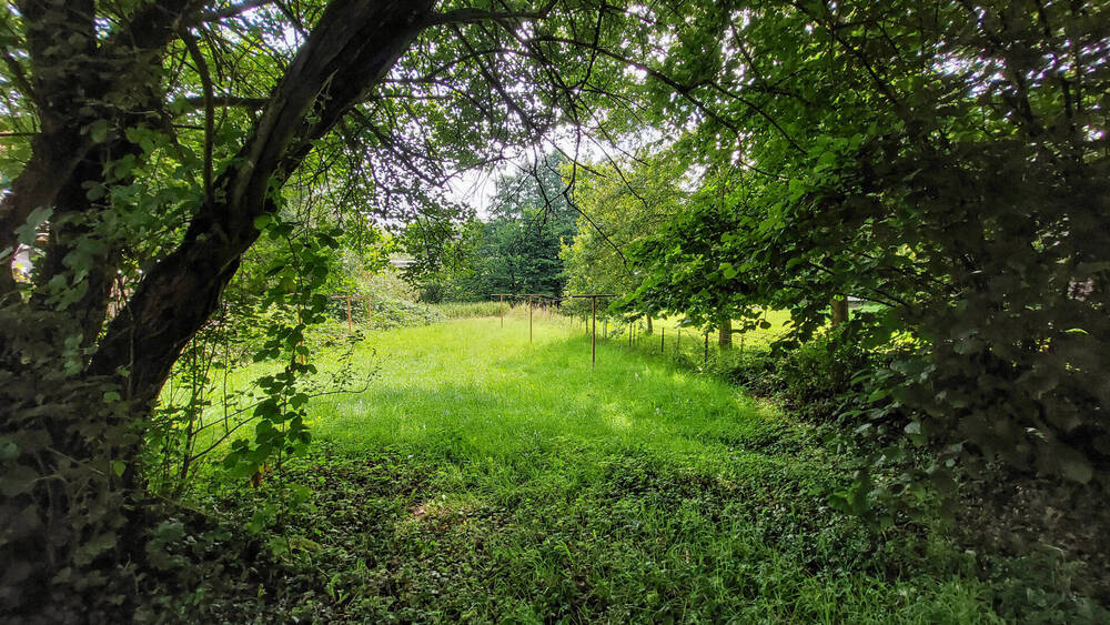 Grundstück Windeck / Geilhausen Geilhausen - 65.000&euro; | Angebot:25691794