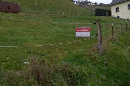 Grundstück Katzwinkel Nimrod - 29.500&euro; | Angebot:22421531