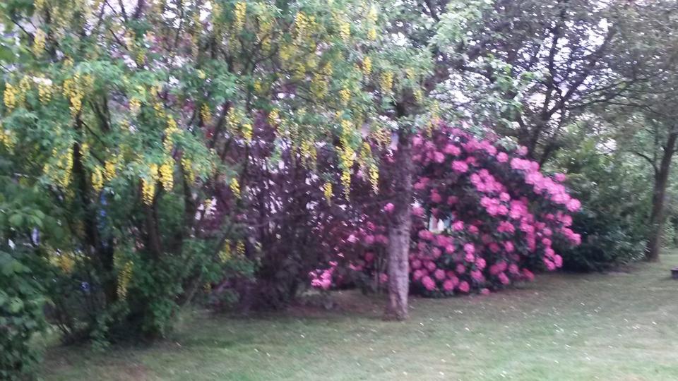 Etagenwohnung Wipperfürth - 3 Zimmer, 80 m&sup2;, 640&euro; | Angebot:25924161