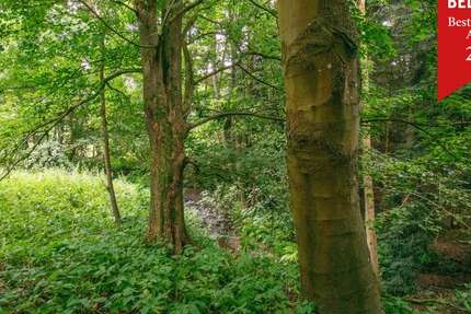 Grundstück Eitorf / Halft Halft - 165.000&euro; | Angebot:21663959