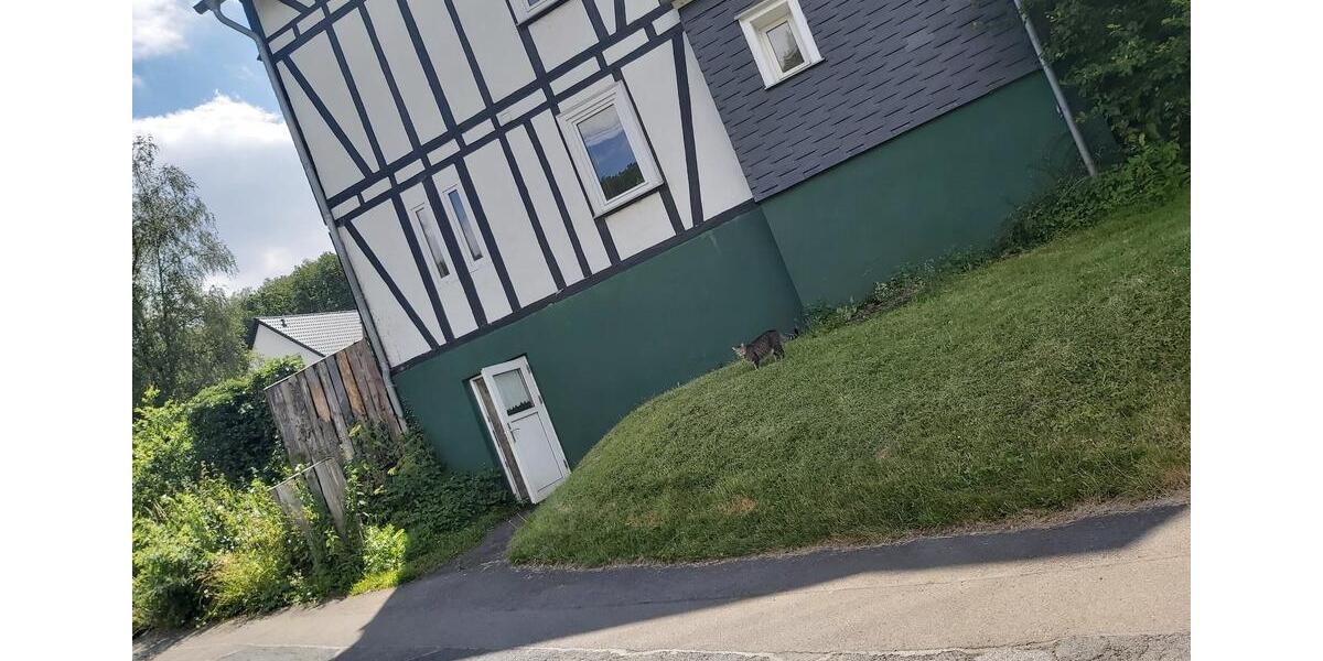 Mehrfamilienhaus, Wohnhaus Freudenberg - 9 Zimmer, 199 m&sup2;, 198.000&euro; | Angebot:27094945